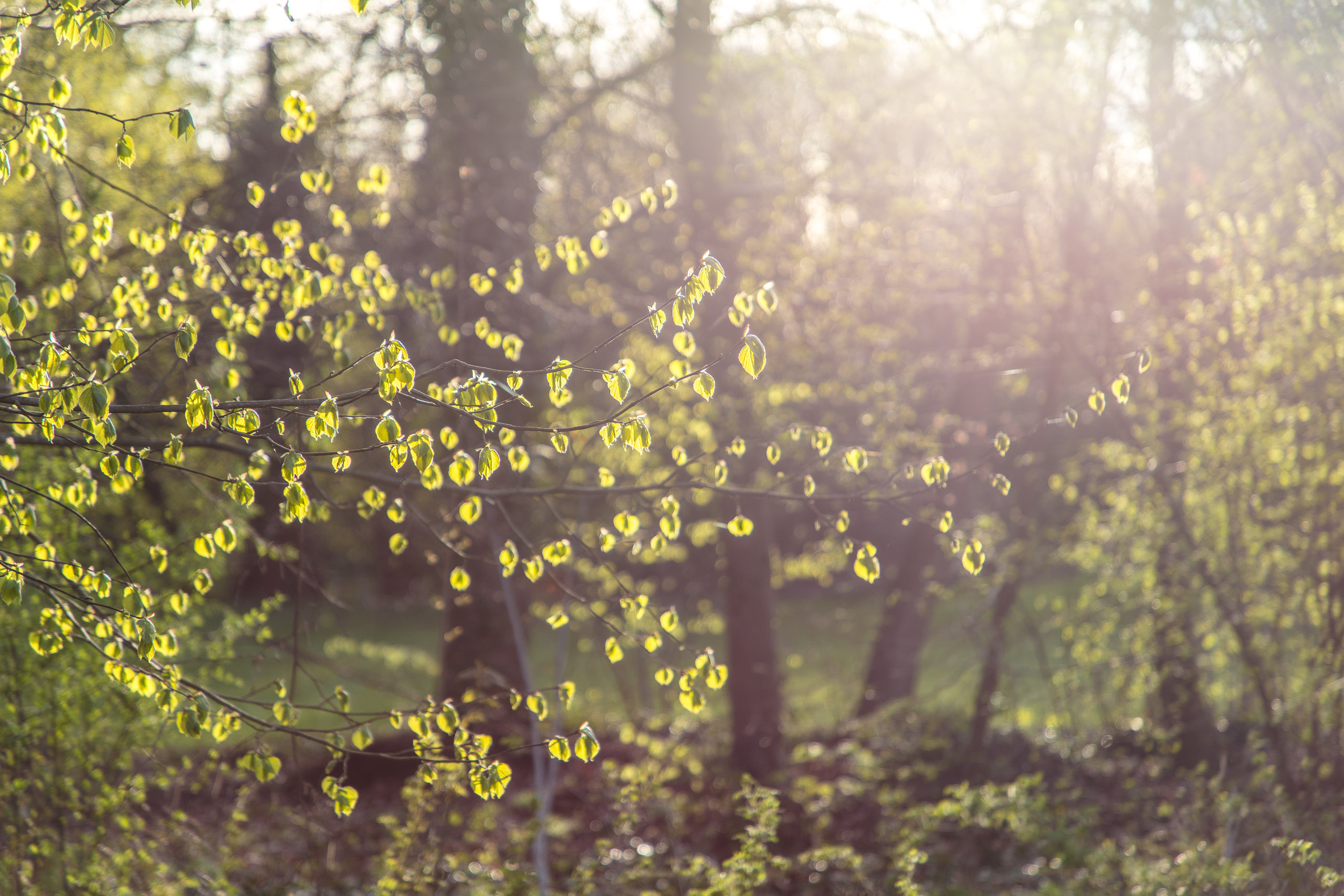 20180414190532 DP014956